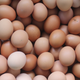 Illustration for article titled NYCs hot new pop-up is a house full of egg stuff